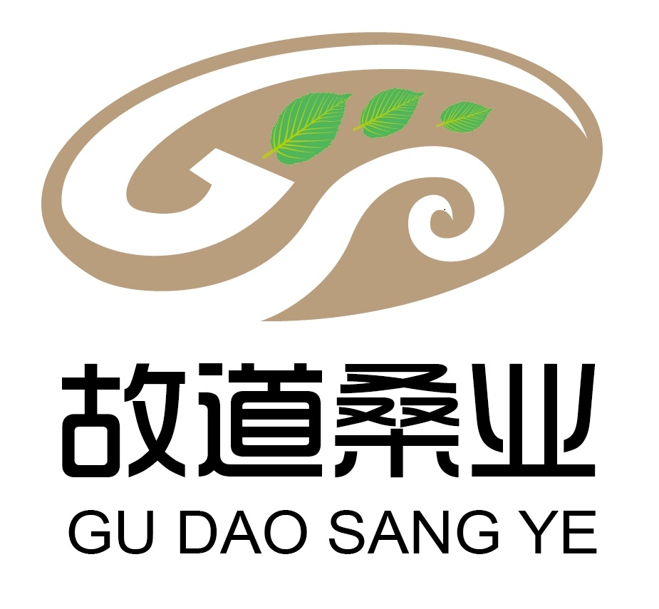 喝茶就可以防脫生發(fā)，太神奇了！桑葉養(yǎng)生茶