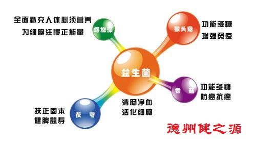 腸胃功能差，益生菌就可以解決一切