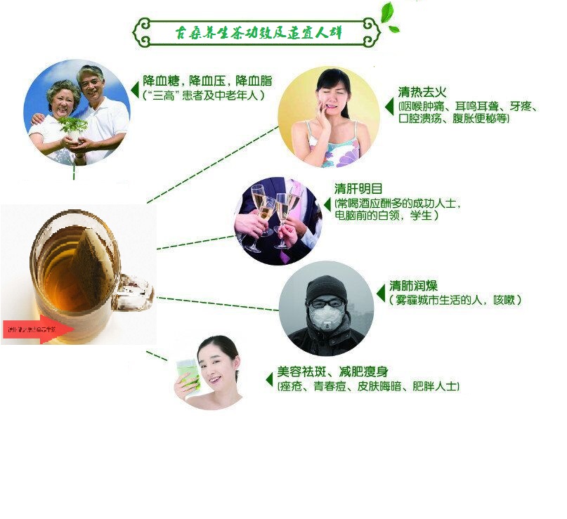桑葉茶，營養(yǎng)長壽健康之茶