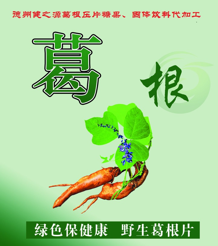 葛根，男女通用的人體調(diào)理專(zhuān)家