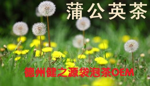蒲公英茶，今天您喝了嗎？