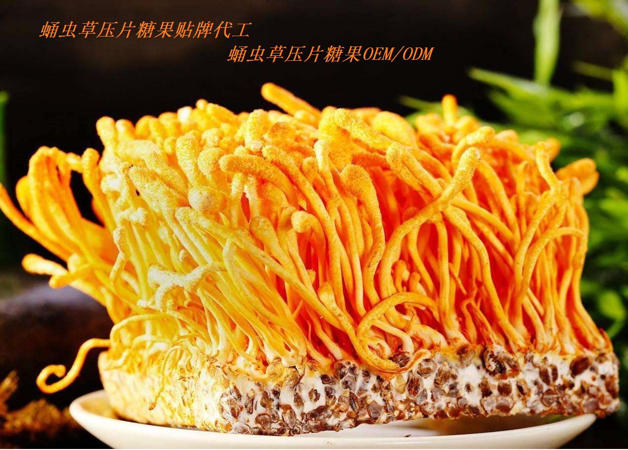 山東保健食品oem貼牌代加工廠(chǎng)-德州健之源